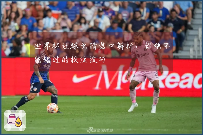世界杯让球竞猜盘口解析，你绝不能错过的投注技巧