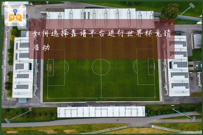如何选择靠谱平台进行世界杯竞猜活动