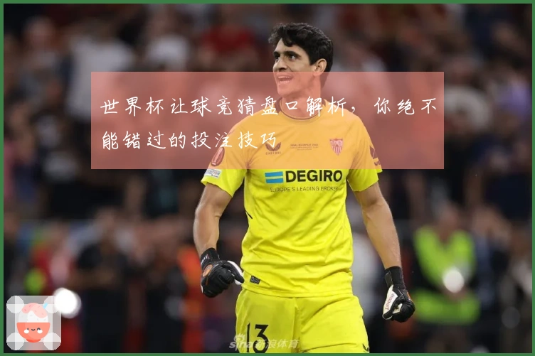 世界杯让球竞猜盘口解析，你绝不能错过的投注技巧