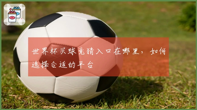 世界杯买球竞猜入口在哪里，如何选择合适的平台